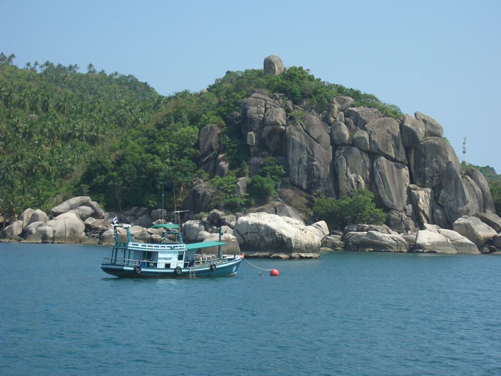 Click to See Next Image